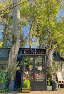CHLOË - INFUSSION HOUSE