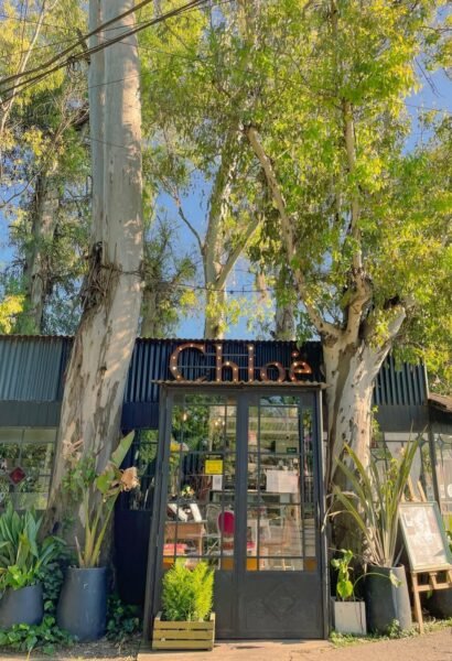 CHLOË - INFUSSION HOUSE
