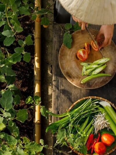 Alimentos y Gastronomía