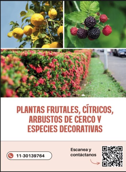 NARANJA Y VERDE - Hogar y Jardín